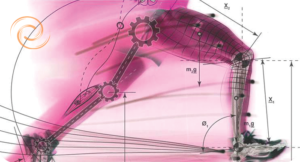 Analyse biomécanique à la clinique posturale Analyse biomécanique à la clinique posturale
